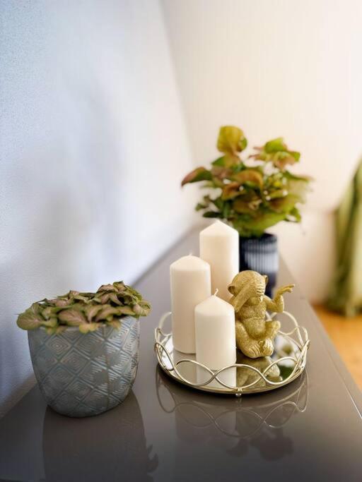 V Centru Deni Appartement Olomouc Buitenkant foto